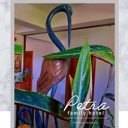 Petra Hotel 佩特里奇 外观 照片